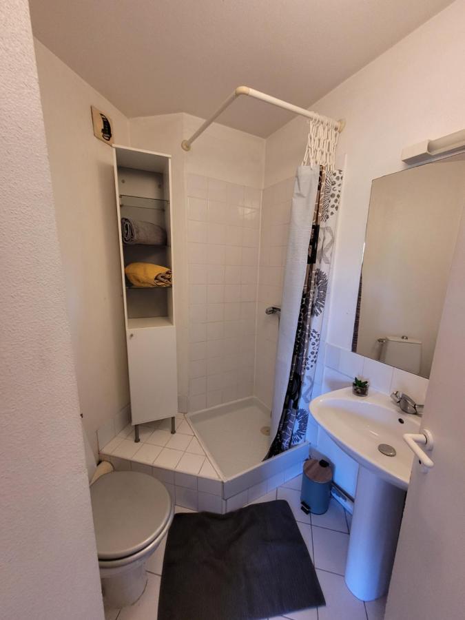 Apartamento Charmant Studio Vue Sur Les Berges Du Lez Montpellier Exterior foto